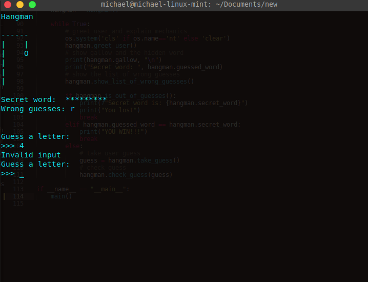 invalid character guess