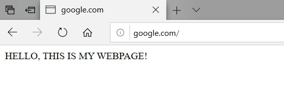 DNS Spoof result