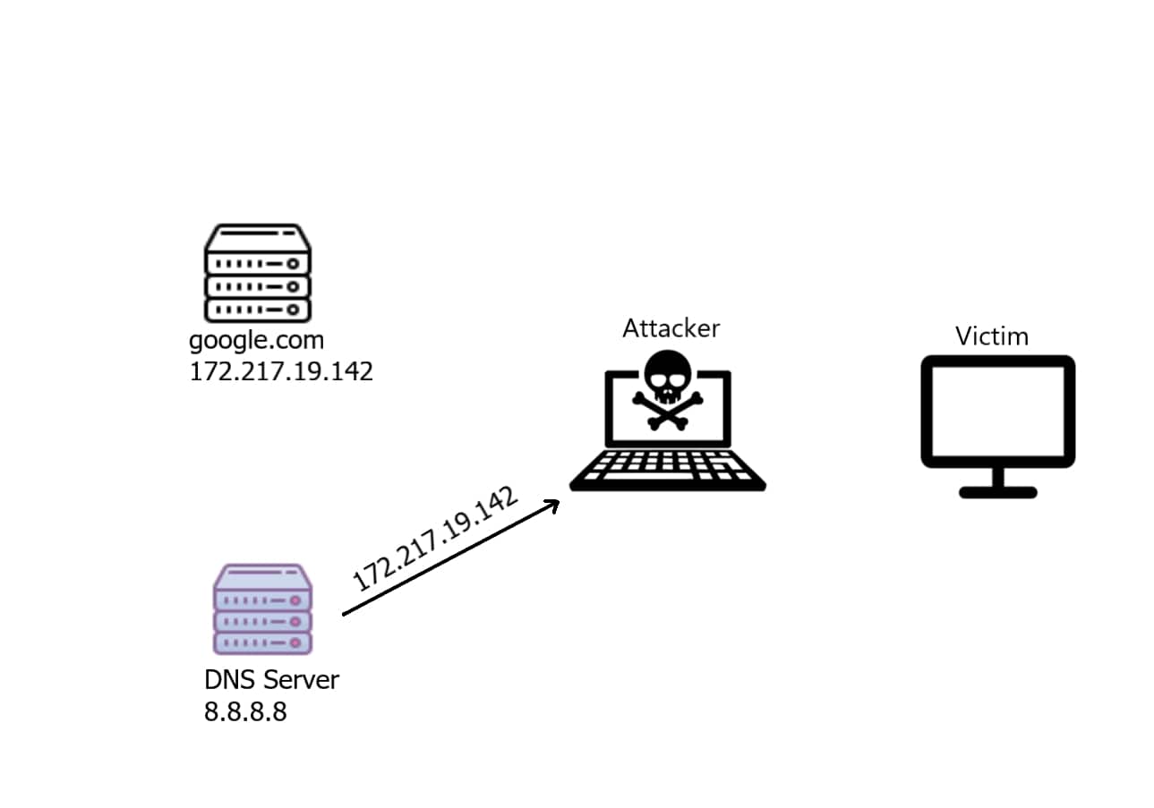 DNS Response