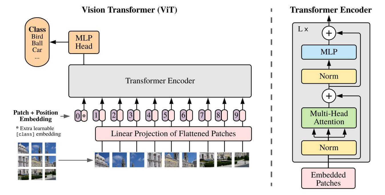 Vision Transformer (ViT) architecture