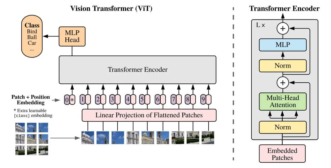 Vision Transformer (ViT) architecture