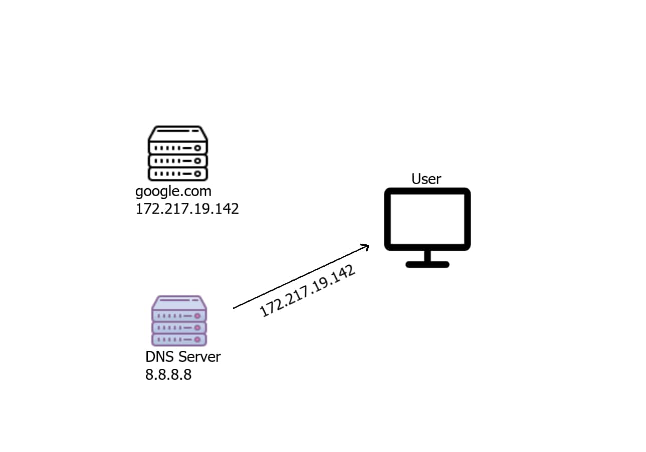 DNS Response