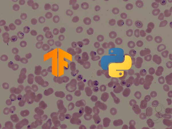 articles/malaria-cell-classification-using-tensorflow-in-python.jpg