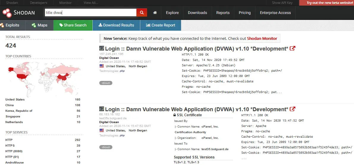 Searching for DVWA instances